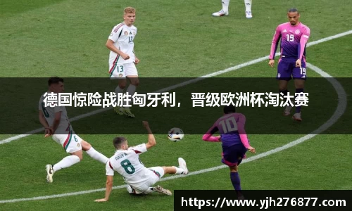 YY体育