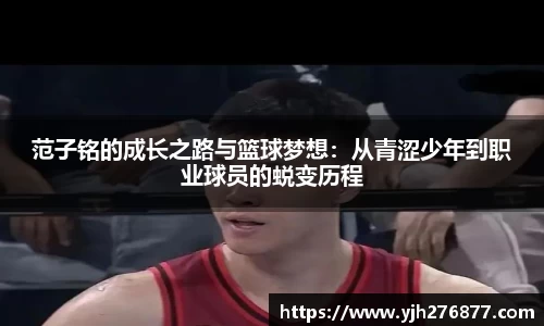 YY易游体育