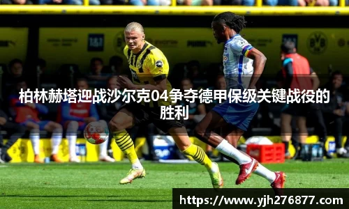 易游m6